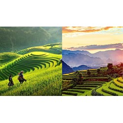 Người quản lý điểm du lịch có những quyền và nghĩa vụ nào?