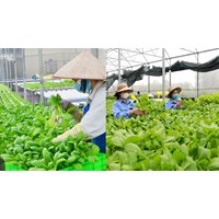 Nguồn vốn thực hiện chính sách phát triển hợp tác xã là từ đâu?