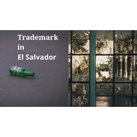 Đăng ký nhãn hiệu tại El Salvador uy tín, hiệu quả năm 2024