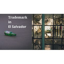 Đăng ký nhãn hiệu tại El Salvador uy tín, hiệu quả năm 2024