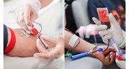 Người hiến máu được cung cấp thông tin về các dấu hiệu, triệu chứng bệnh lý nào?