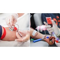 Người hiến máu được cung cấp thông tin về các dấu hiệu, triệu chứng bệnh lý nào?
