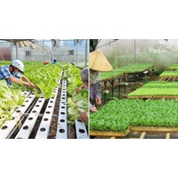 Tiêu chí thụ hưởng chính sách về phát triển hợp tác xã từ 01/7/2024