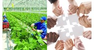 Ưu tiên chọn hợp tác xã có phụ nữ làm quản lý được hưởng chính sách của nhà nước từ 01/7/2024