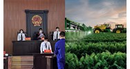 Tranh chấp hợp đồng bảo hiểm nông nghiệp được giải quyết bởi Tòa án không?
