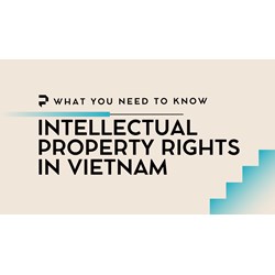 Intellectual Property Rights in Vietnam: What You Need to Know