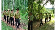 Thành lập Kiểm lâm rừng phòng hộ ở những khu vực nào?