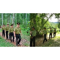 Thành lập Kiểm lâm rừng phòng hộ ở những khu vực nào?