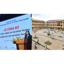 Nhà trường có những nhiệm vụ và quyền hạn gì theo quy định hiện nay?