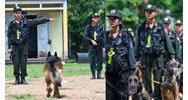 Nguồn kinh phí bảo đảm chế độ ăn của chó nghiệp vụ Bộ Quốc phòng