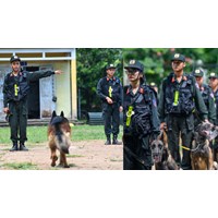 Nguồn kinh phí bảo đảm chế độ ăn của chó nghiệp vụ Bộ Quốc phòng