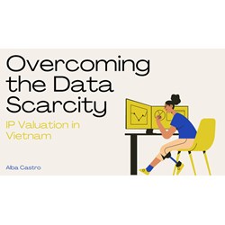IP Valuation in Vietnam: Overcoming the Data Scarcity