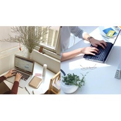 Quyền hạn của Chuyên viên về quản lý hoạt động tiêu chuẩn hóa