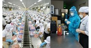 Các phương thức kiểm tra về an toàn thực phẩm nhập khẩu mới nhất