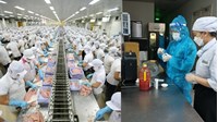 Các phương thức kiểm tra về an toàn thực phẩm nhập khẩu mới nhất