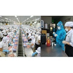 Các phương thức kiểm tra về an toàn thực phẩm nhập khẩu mới nhất