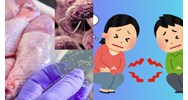 Người bán đồ ăn gây ngộ độc thực phẩm có thể đi tù đến 20 năm?