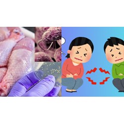 Người bán đồ ăn gây ngộ độc thực phẩm có thể đi tù đến 20 năm?