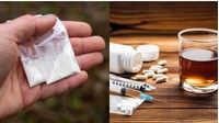 Các dược chất gây nghiện và chất hướng thần có trong thuốc gây nghiện?