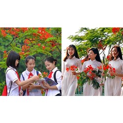 Lịch nghỉ hè 2024-2025 của học sinh cả nước cập nhật mới nhất?