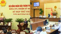 Trách nhiệm tiếp xúc cử tri của đại biểu Hội đồng nhân dân?