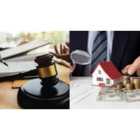 Thành viên tổ chuyên gia trong hoạt động đấu thầu phải tốt nghiệp đại học?
