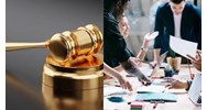 Trách nhiệm chính của tổ chuyên gia trong hoạt động đấu thầu là gì?
