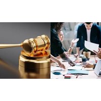 Trách nhiệm chính của tổ chuyên gia trong hoạt động đấu thầu là gì?