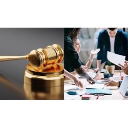 Trách nhiệm chính của tổ chuyên gia trong hoạt động đấu thầu là gì?