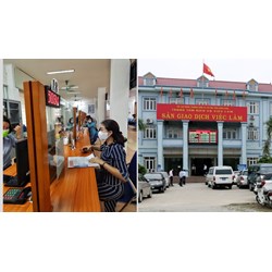 Thông báo tìm kiếm việc làm thế nào khi chuyển nơi hưởng trợ cấp thất nghiệp?