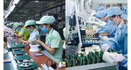 Dùng nhiều lao động nữ được miễn học phí đào tạo quản trị doanh nghiệp?