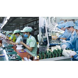 Dùng nhiều lao động nữ được miễn học phí đào tạo quản trị doanh nghiệp?