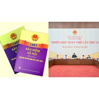 Quỹ thành phần quỹ bảo hiểm xã hội theo dự thảo Luật Bảo hiểm xã hội 2024?