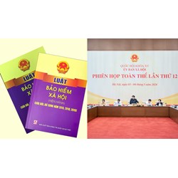 Quỹ thành phần quỹ bảo hiểm xã hội theo dự thảo Luật Bảo hiểm xã hội 2024?
