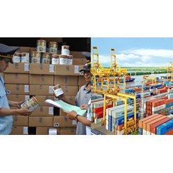 Kết quả phân loại hàng hóa xuất khẩu, nhập khẩu được dùng làm gì?