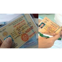 Những trường hợp bị thu hồi Giấy phép lái xe từ 01/6/2024