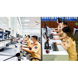 Thực hiện việc lựa chọn biển số xe mang ra đấu giá như thế nào?