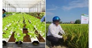Yêu cầu đối với tổ chức khảo nghiệm giống cây trồng khi tiến hành khảo nghiệm