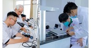 Nhiệm vụ của Hội đồng Y khoa Quốc gia theo quy định mới năm 2024