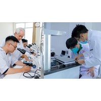 Nhiệm vụ của Hội đồng Y khoa Quốc gia theo quy định mới năm 2024