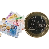 Nhà đầu tư có được dùng đồng Euro để chào thầu trong nước hay không?