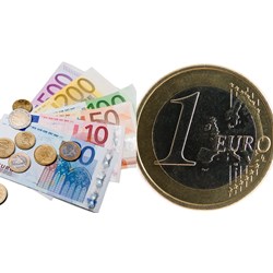 Nhà đầu tư có được dùng đồng Euro để chào thầu trong nước hay không?