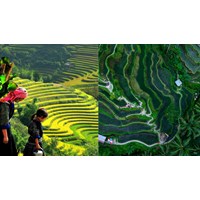 Dàn ý phân tích khổ 3 bài thơ Việt Bắc chọn lọc hay nhất