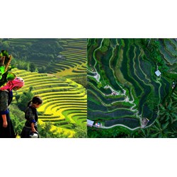 Dàn ý phân tích khổ 3 bài thơ Việt Bắc chọn lọc hay nhất