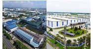Chi nhánh của doanh nghiệp chế xuất có được hoạt động chế xuất?