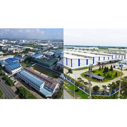 Chi nhánh của doanh nghiệp chế xuất có được hoạt động chế xuất?