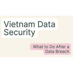Vietnam Data Security: What to Do After a Data Breach