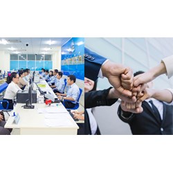 Quy định hiện hành về công ty liên doanh và công ty liên kết ra sao?