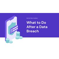What to Do After a Data Breach: Protecting Yourself