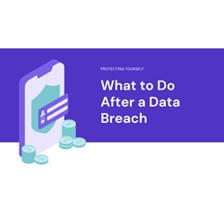 What to Do After a Data Breach: Protecting Yourself